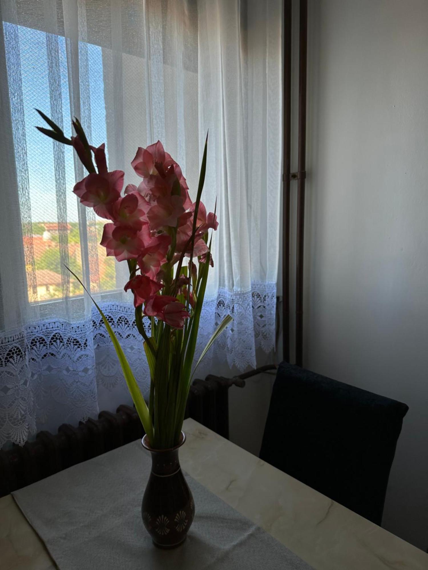 Tamaris Apartment سوبوتيتْسا المظهر الخارجي الصورة
